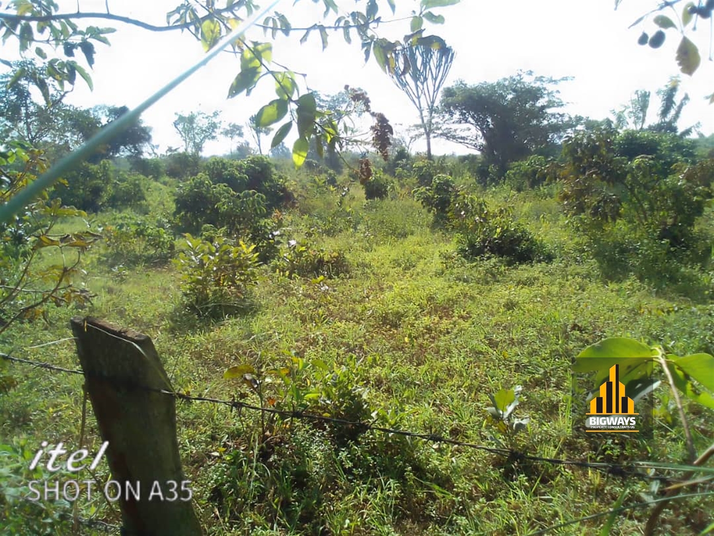 Agricultural Land for sale in Kakooge Nakasongola