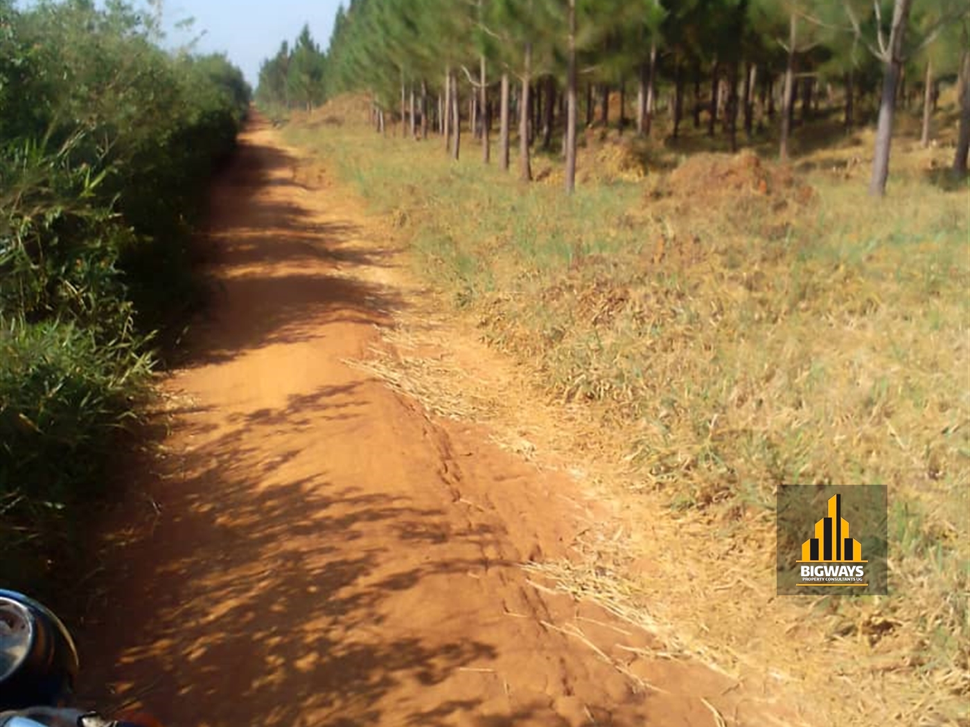 Agricultural Land for sale in Kakooge Nakasongola