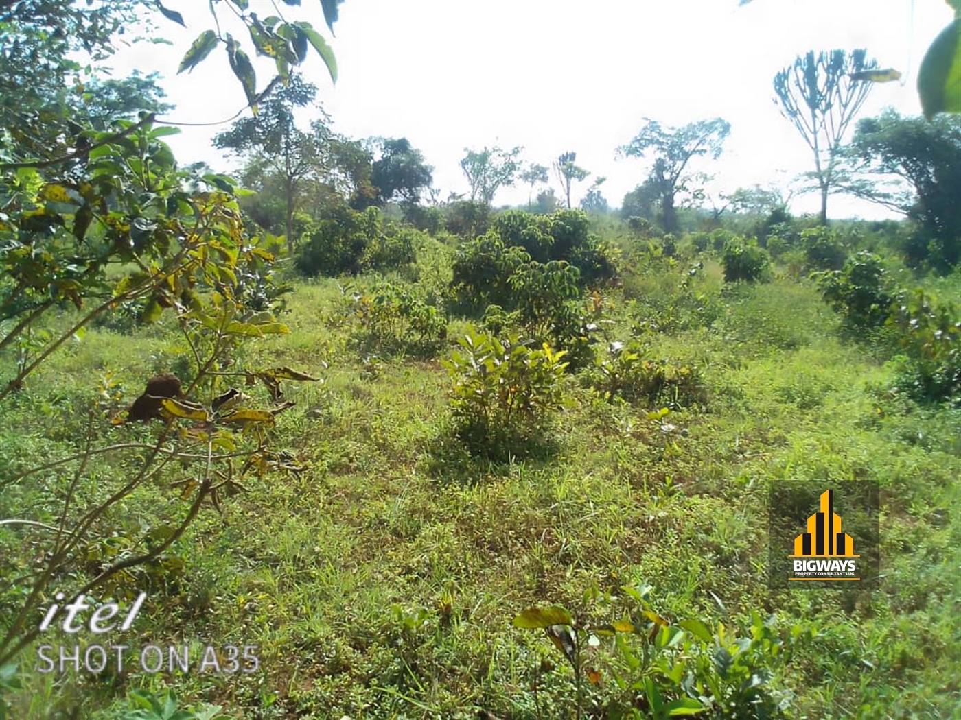 Agricultural Land for sale in Kakooge Nakasongola