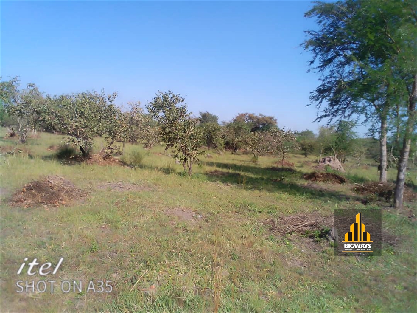 Agricultural Land for sale in Kakooge Nakasongola