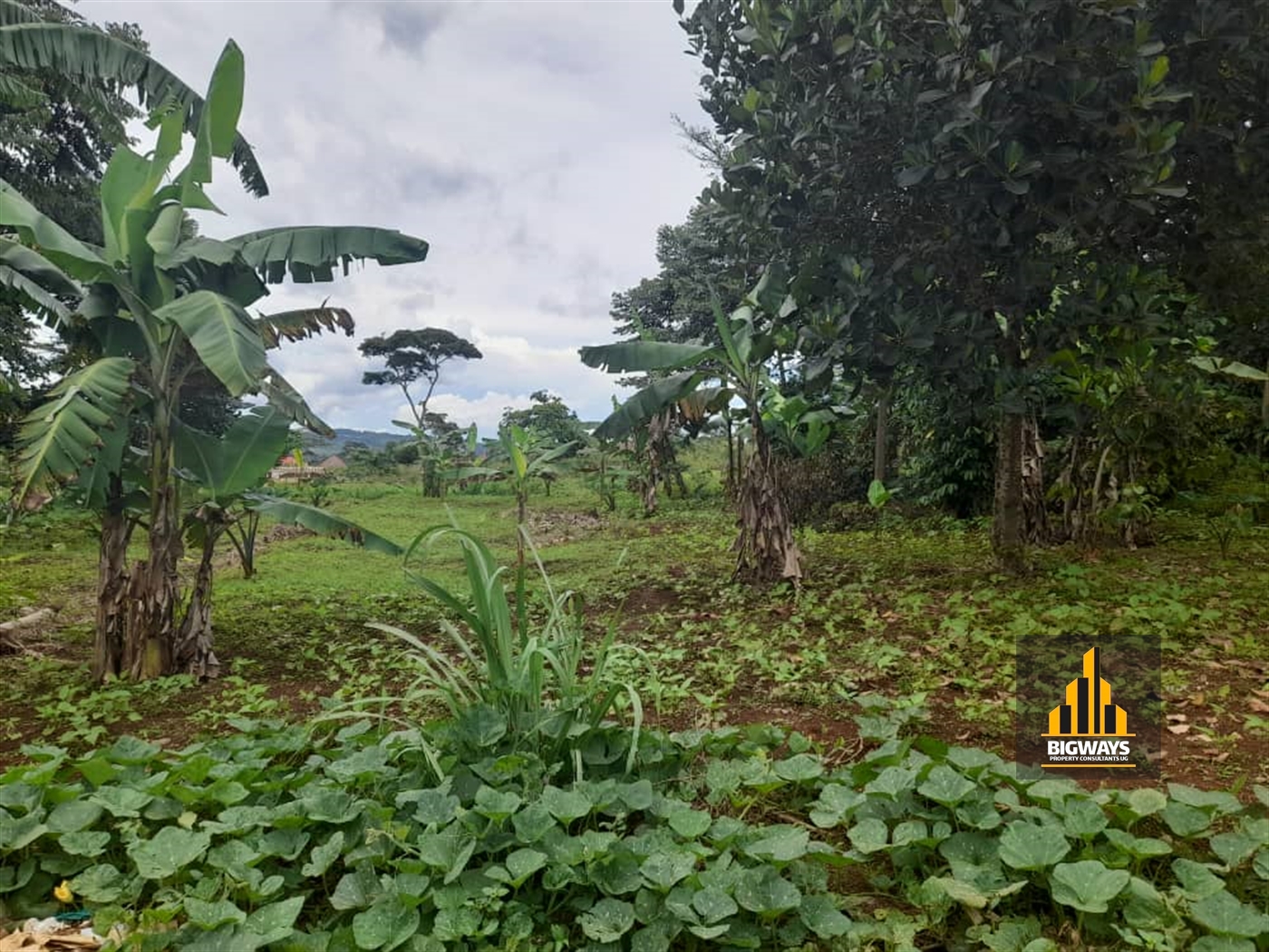 Residential Land for sale in Namayiba Mukono