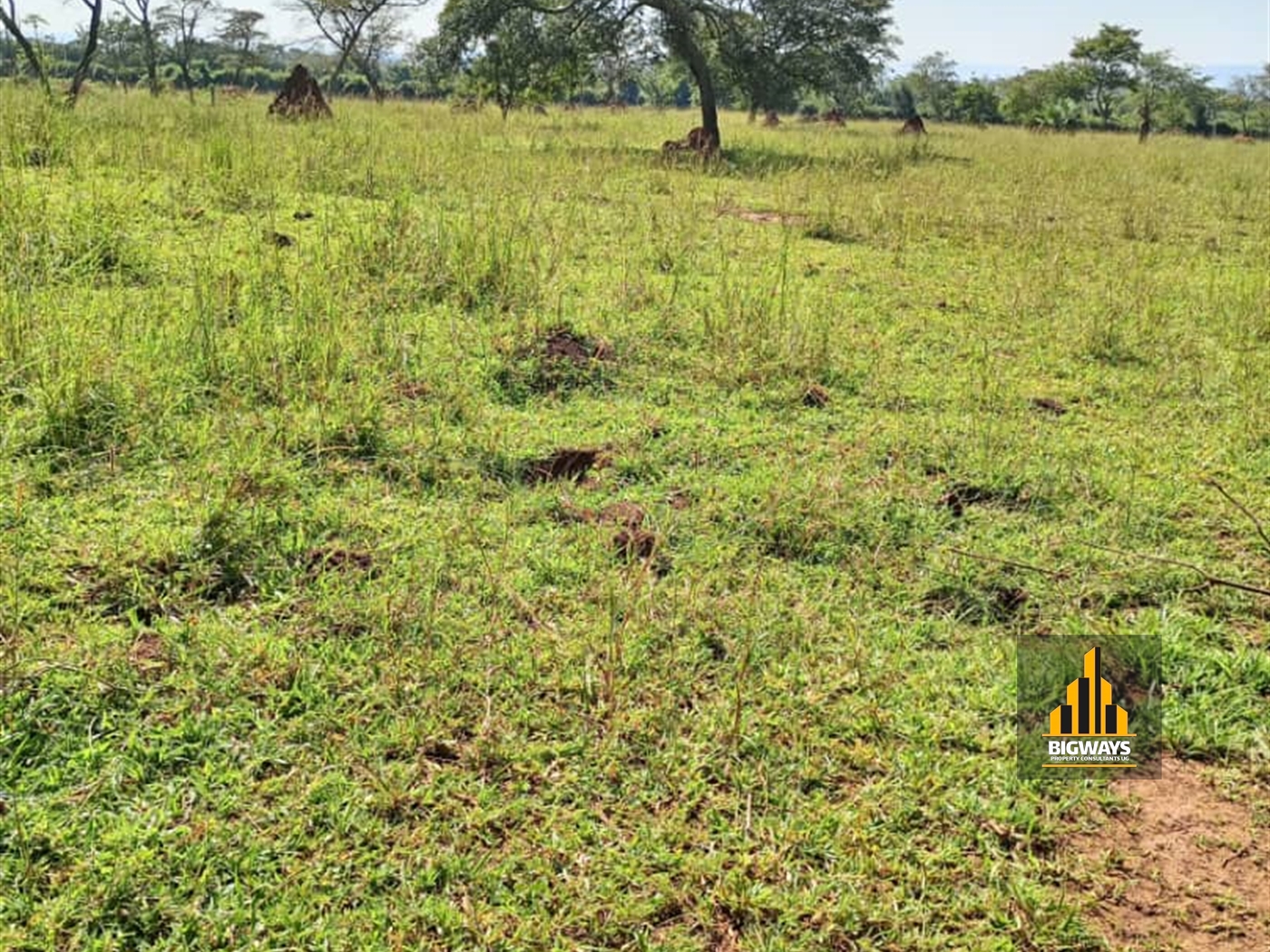 Agricultural Land for sale in Kapeeka Luweero