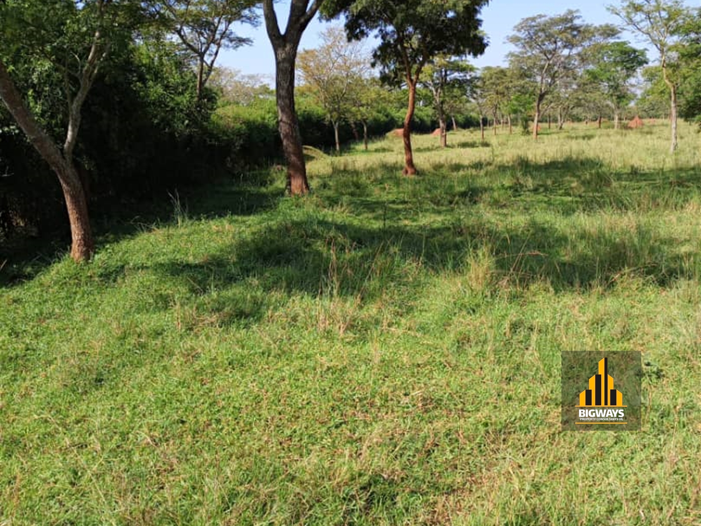 Agricultural Land for sale in Kapeeka Luweero