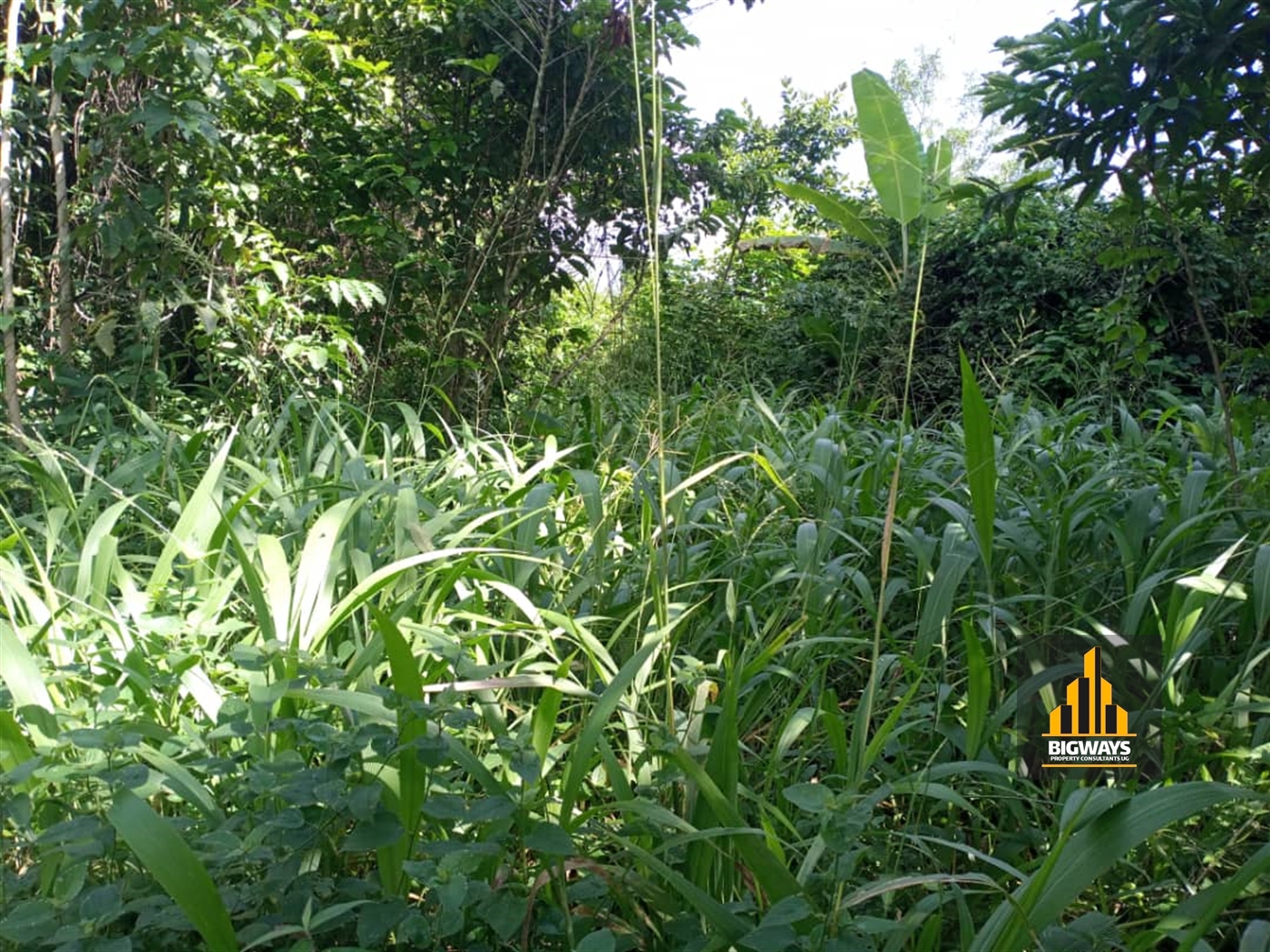 Agricultural Land for sale in Kabunyata Luweero