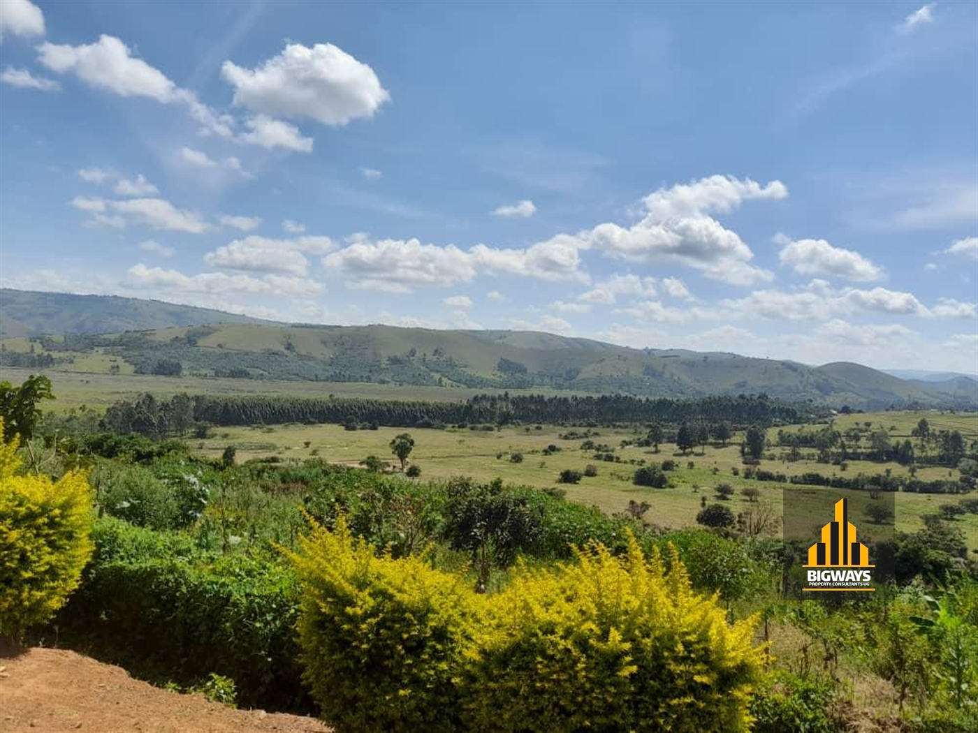 Agricultural Land for sale in Nyamukana Ntungamo