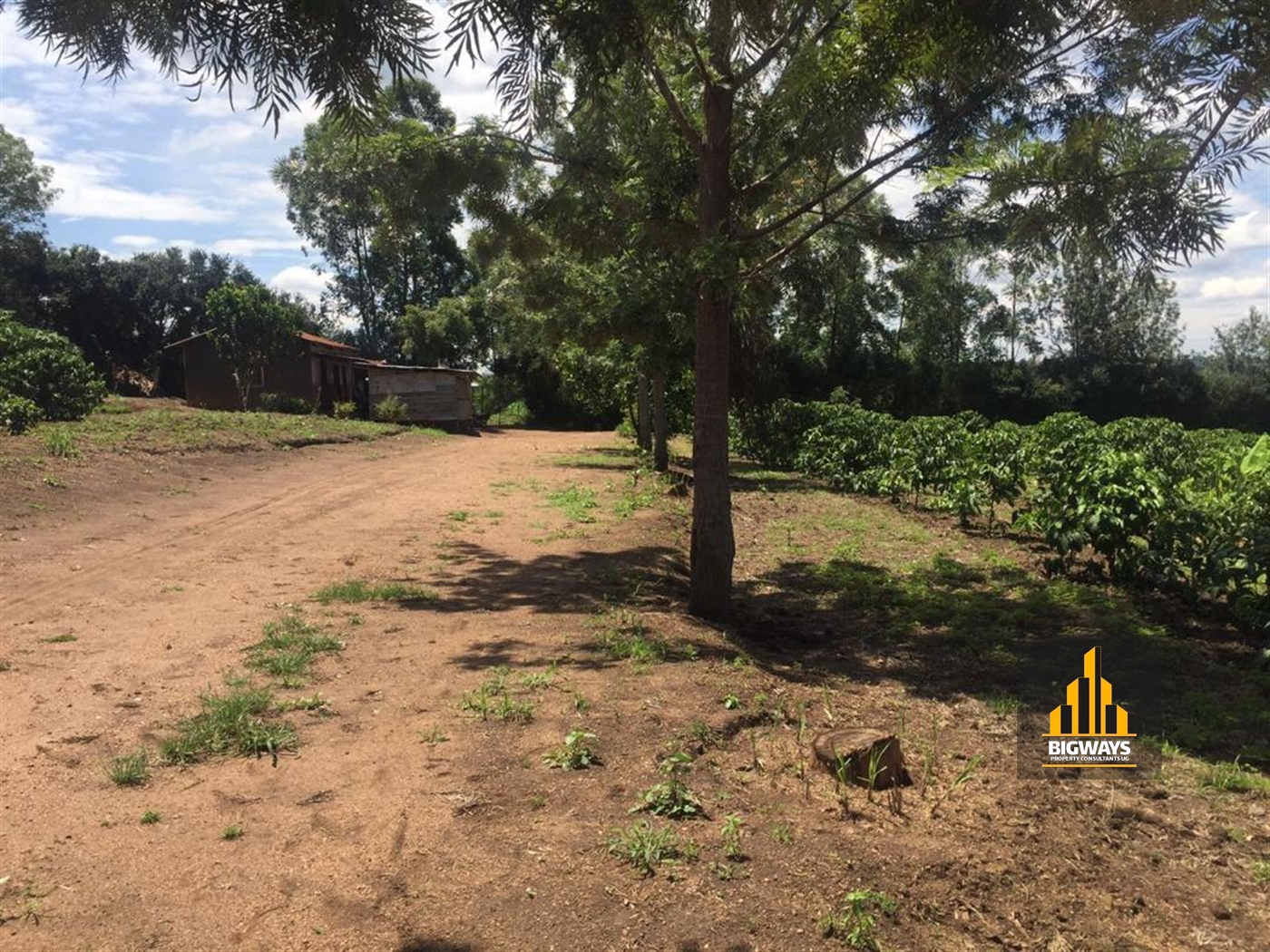 Agricultural Land for sale in Kinoni Wakiso