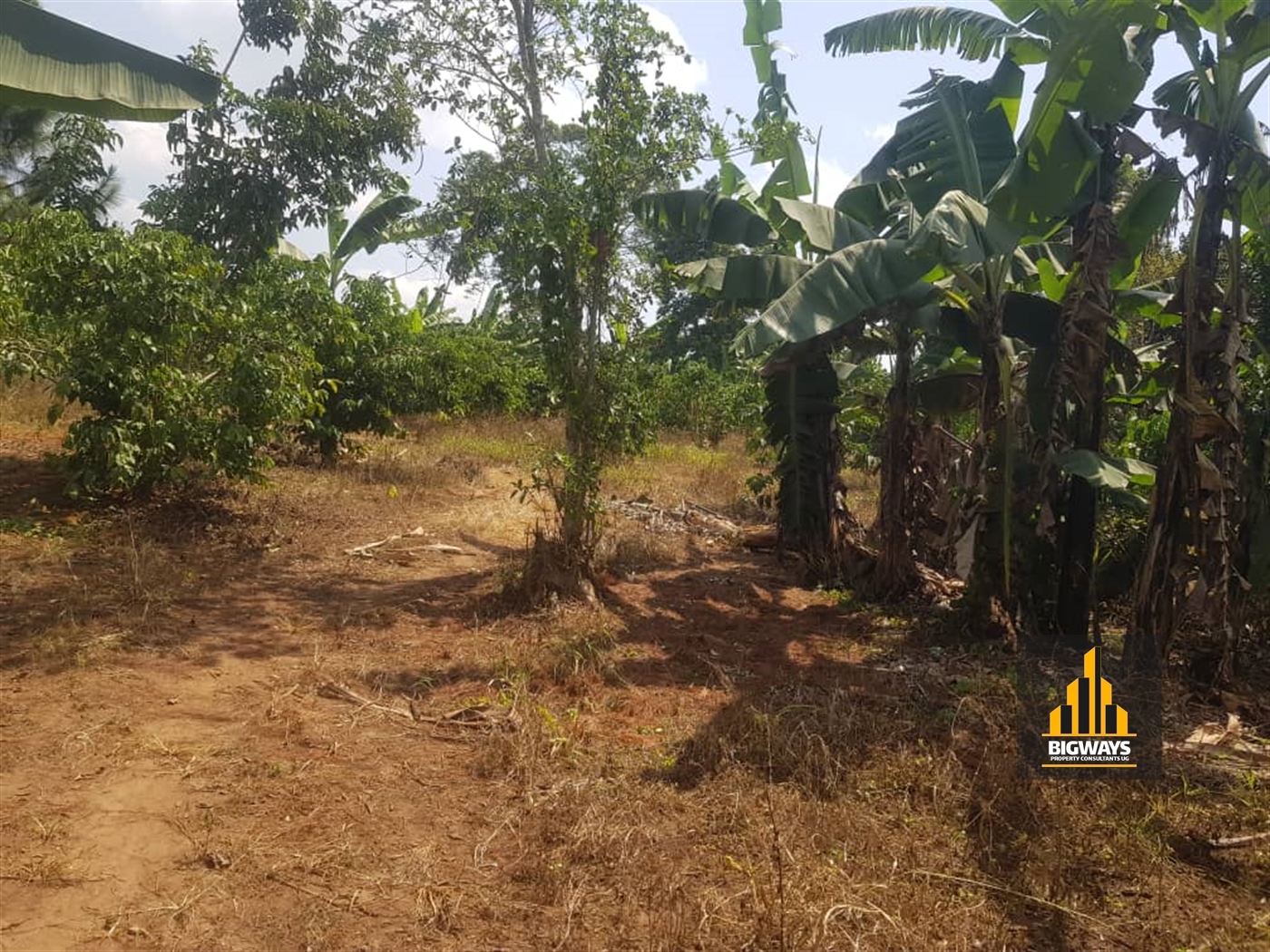 Agricultural Land for sale in Ndejje Wakiso