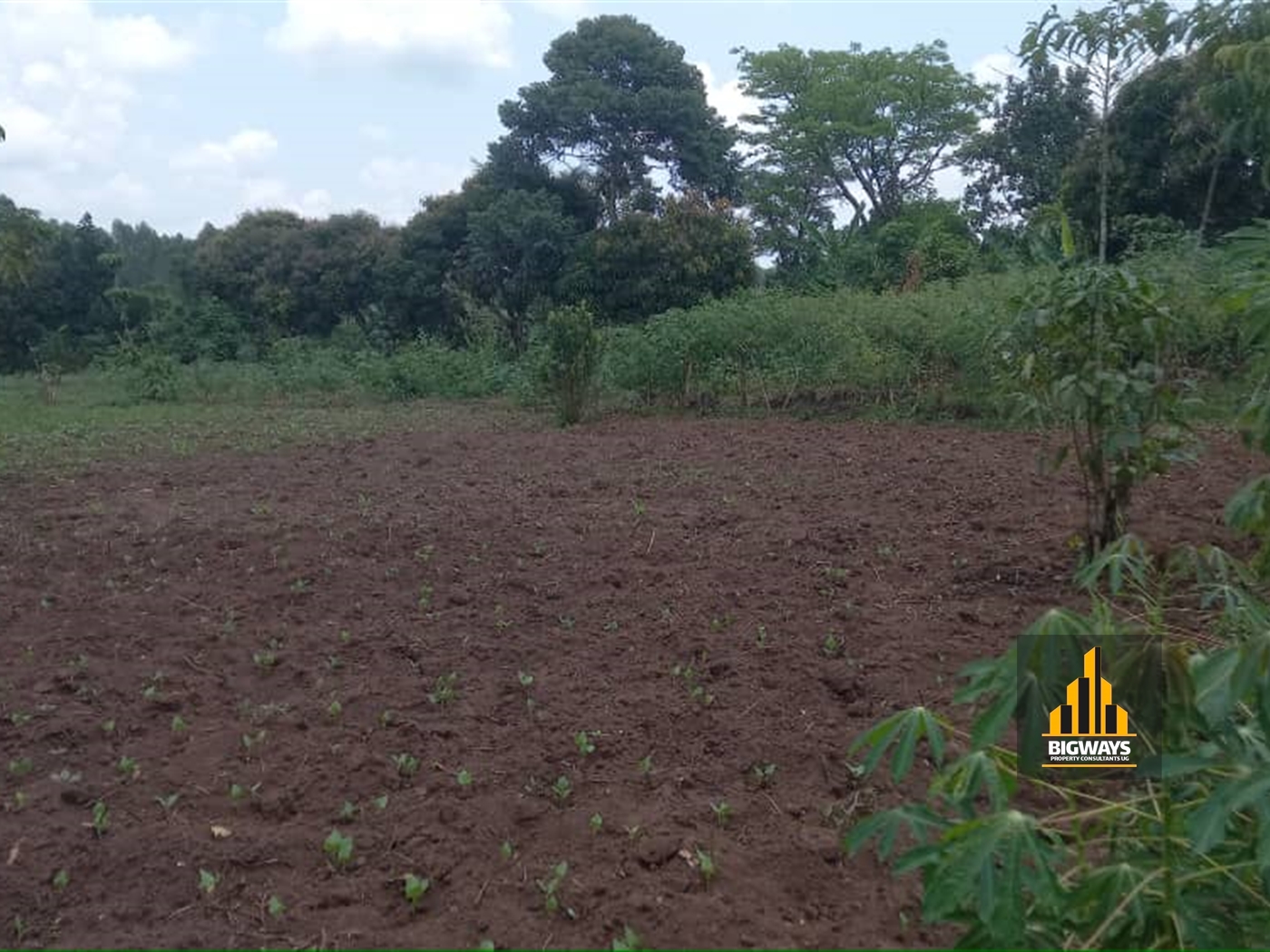 Residential Land for sale in Kalaangala Wakiso