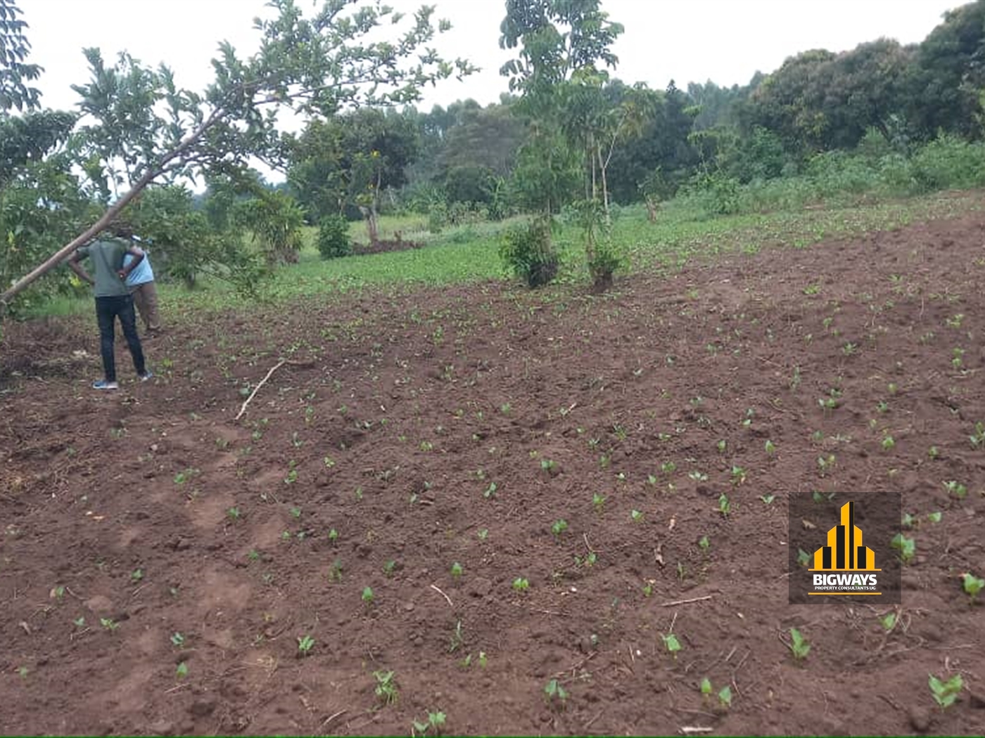 Residential Land for sale in Kalaangala Wakiso