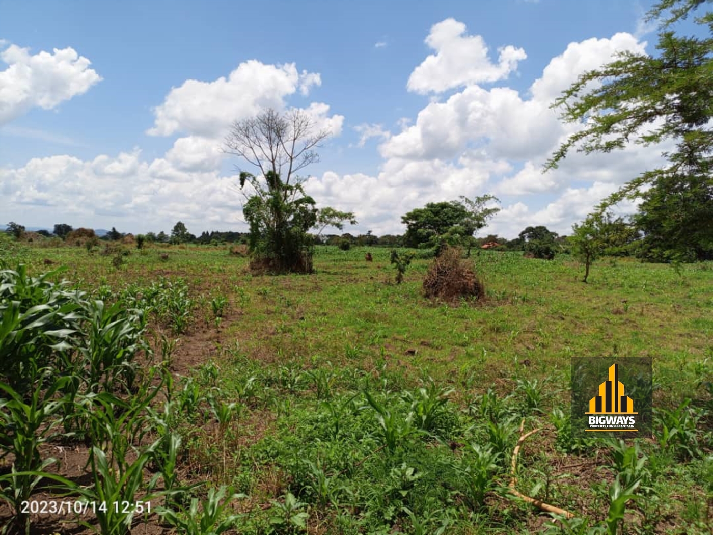 Residential Land for sale in Wakyato Nakaseke