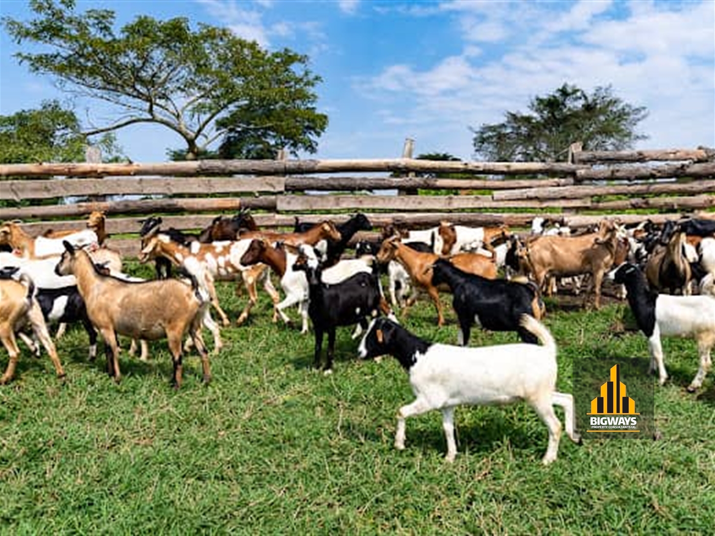 Farm for sale in Kiganda Mityana