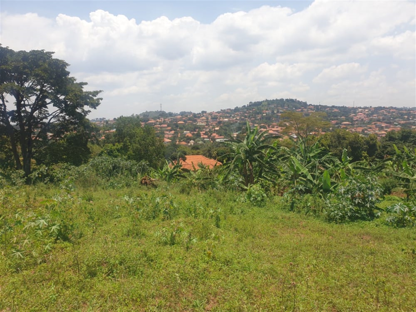 Residential Land for sale in Bweya Wakiso