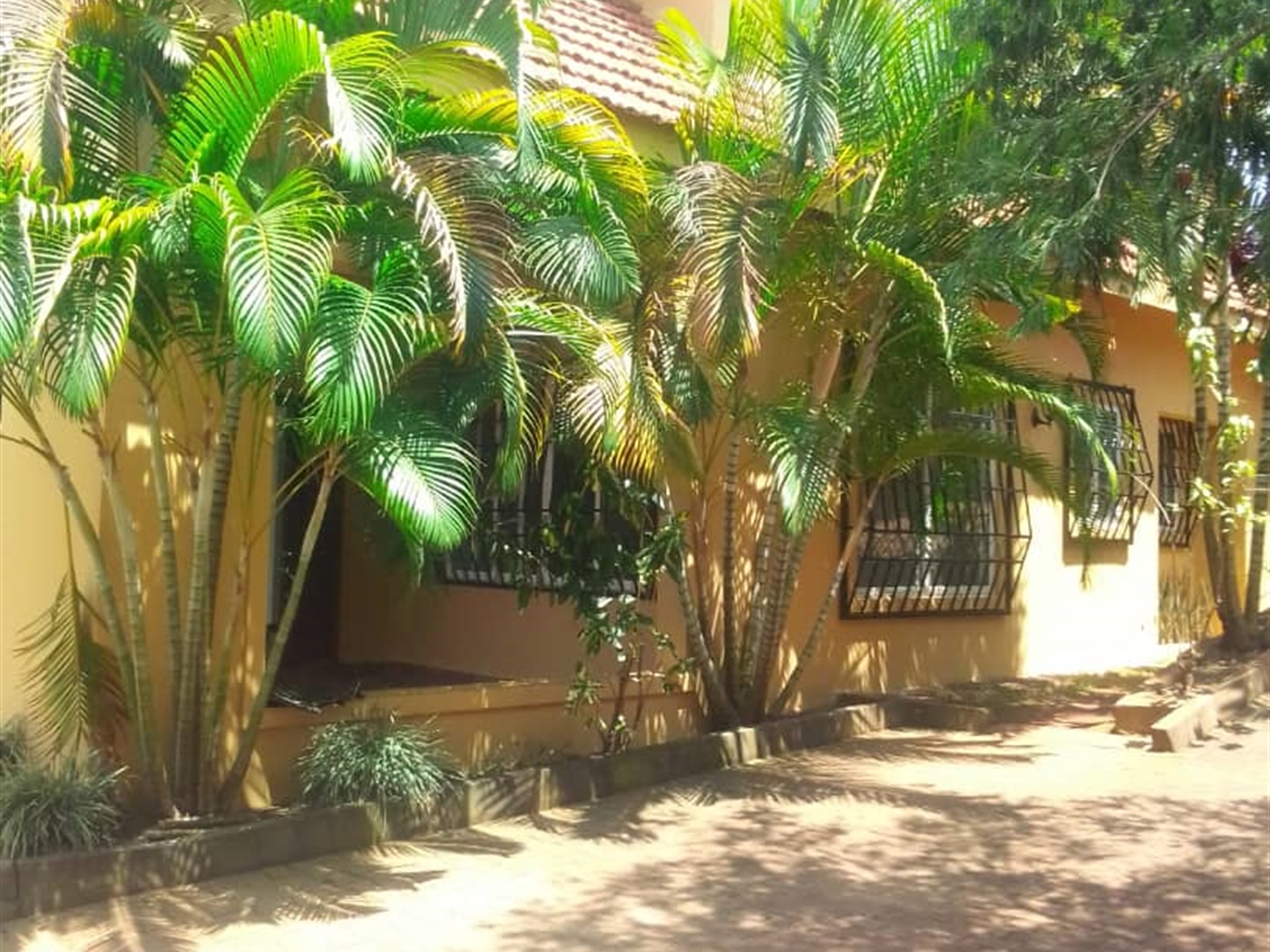 Storeyed house for rent in Lubowa Kampala