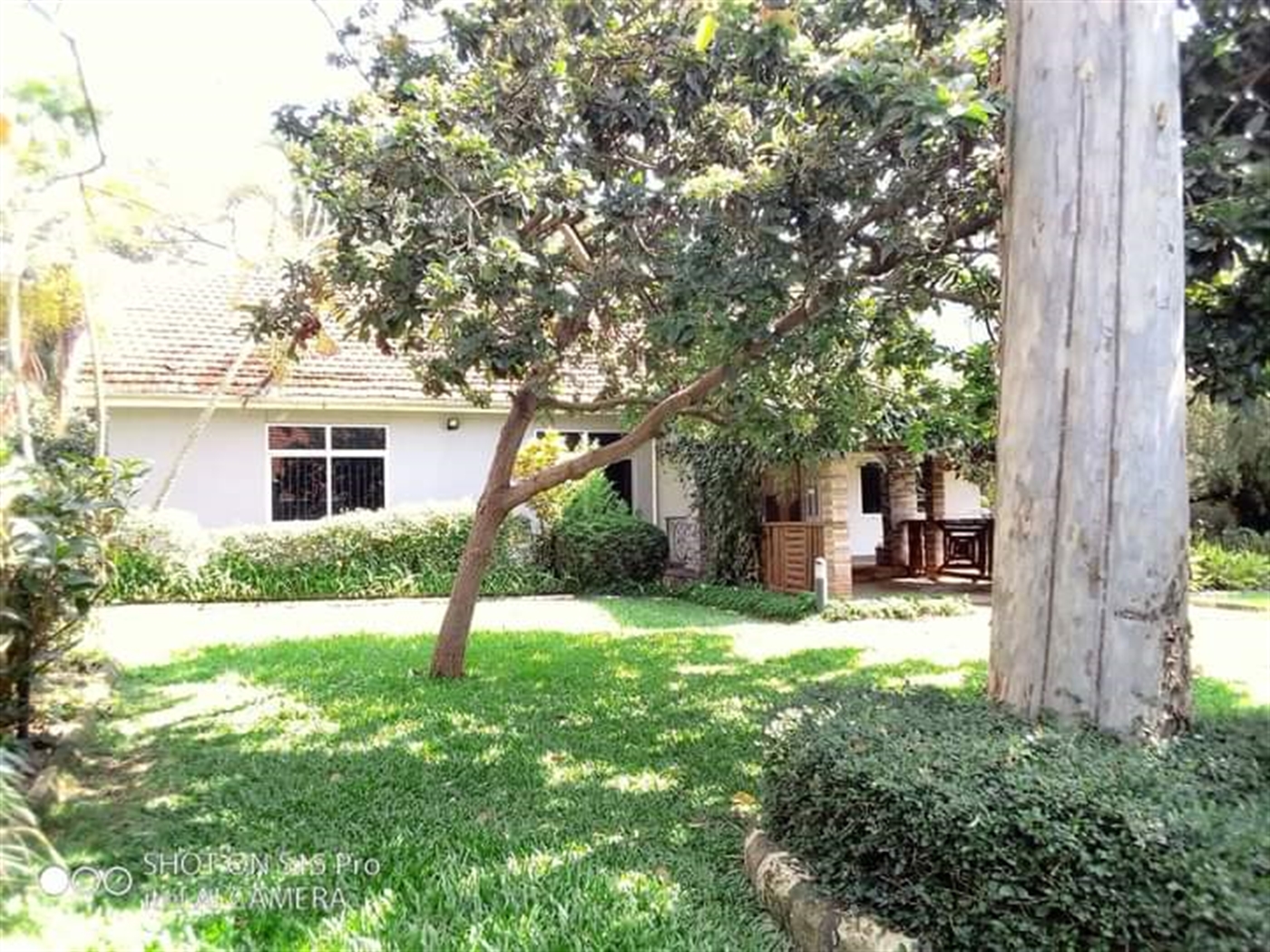 Bungalow for rent in Bugoloobi Kampala