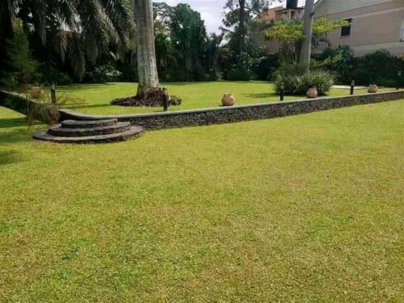 Bungalow for rent in Bugoloobi Kampala