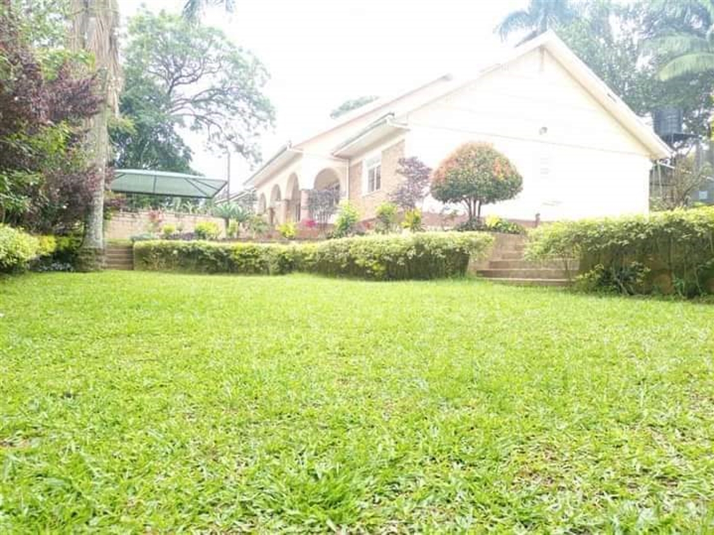 Bungalow for sale in Muyenga Kampala