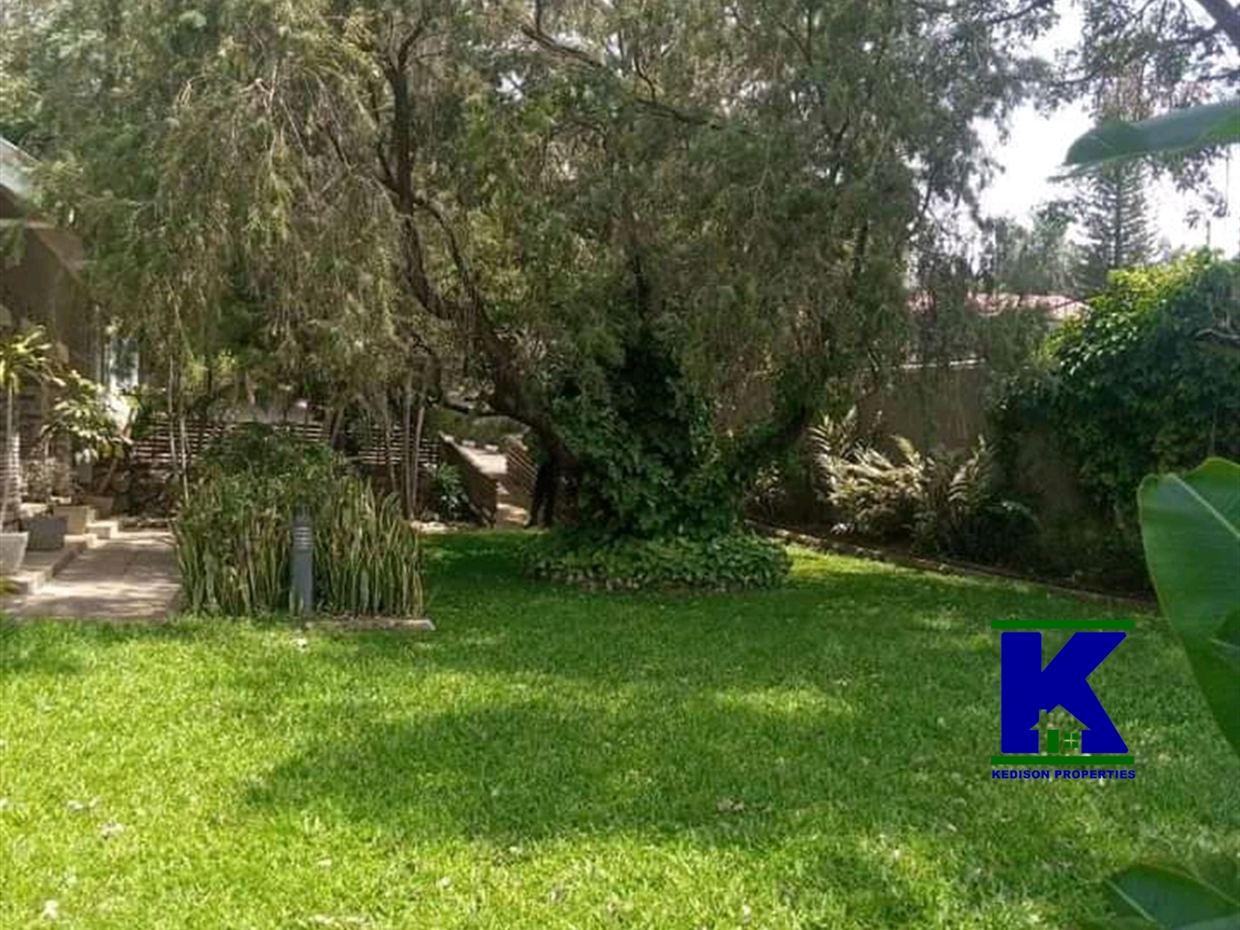 Bungalow for rent in Bugoloobi Kampala