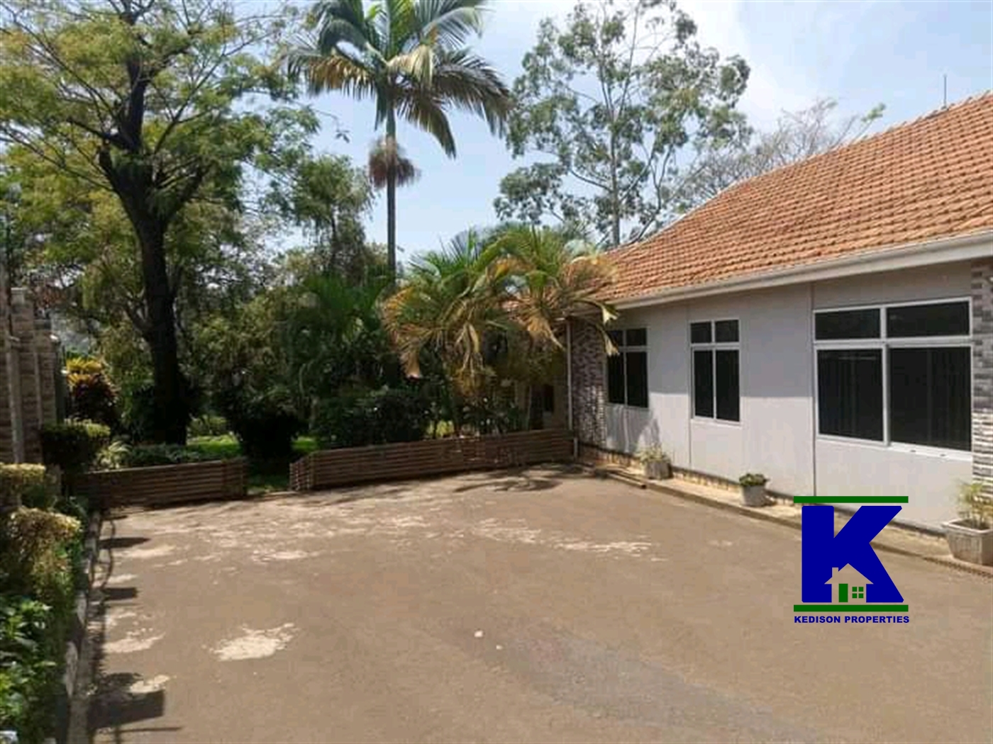 Bungalow for rent in Bugoloobi Kampala