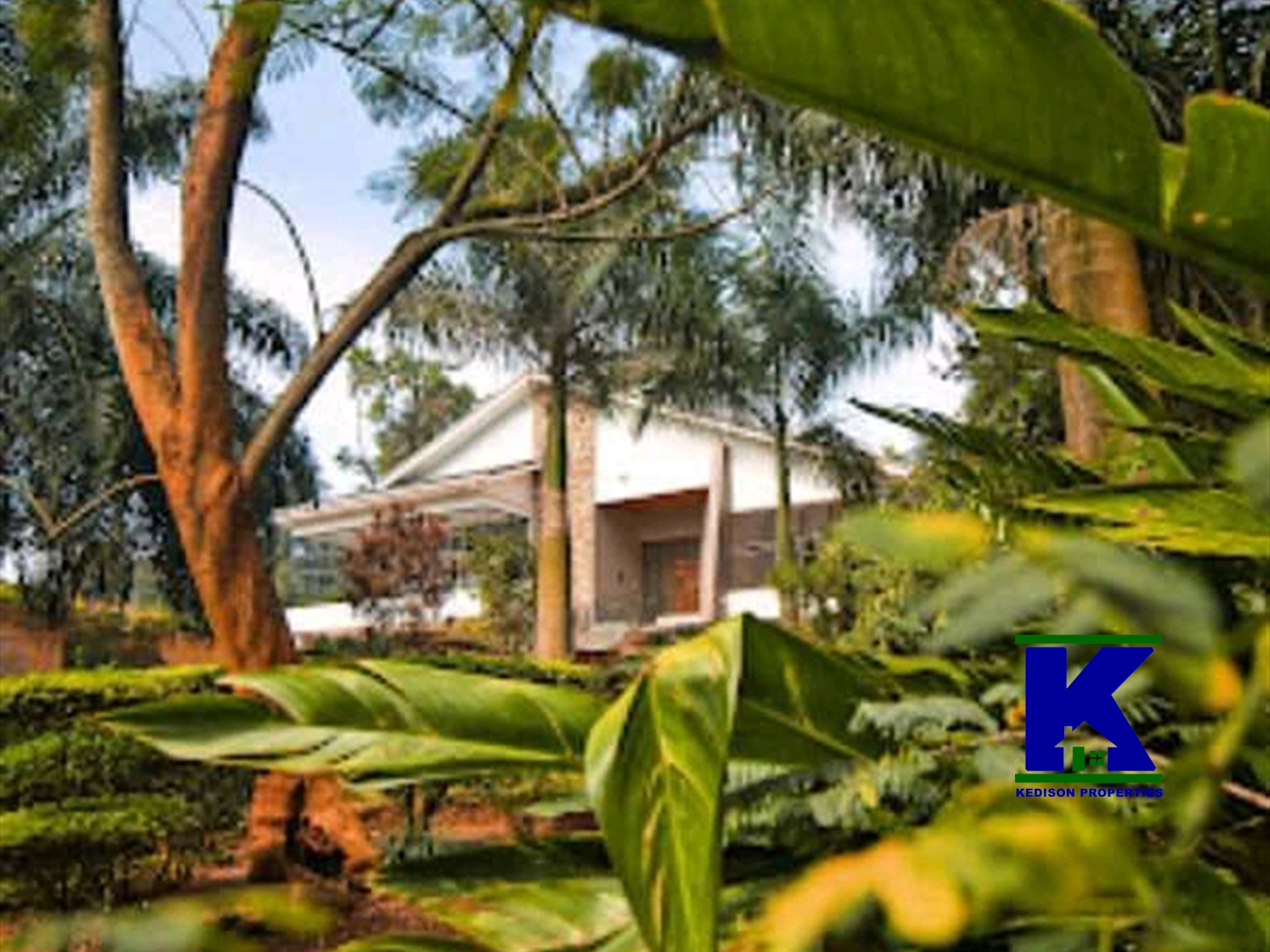 Villa for rent in Mbuya Kampala