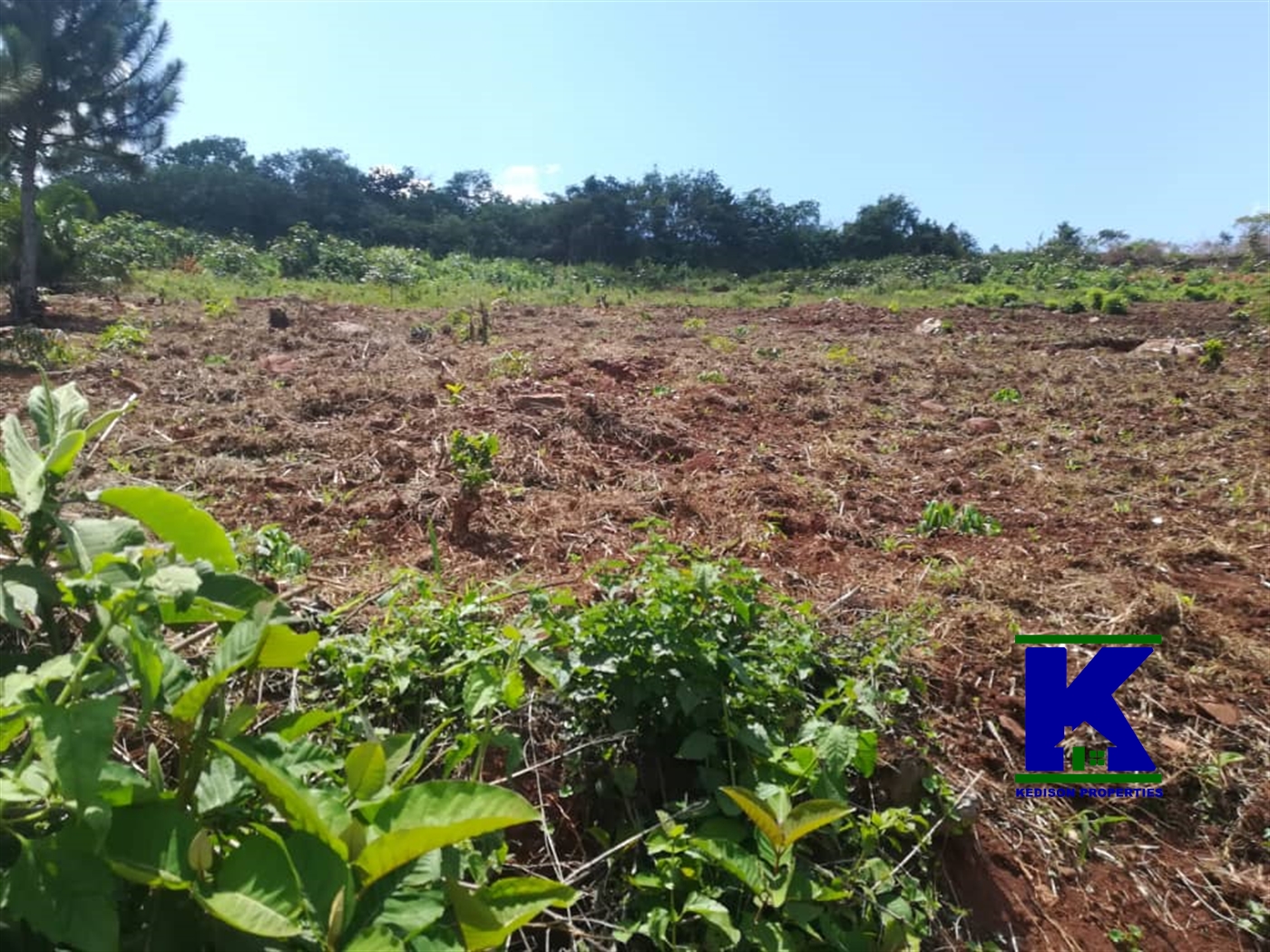 Residential Land for sale in Namawojjolo Mukono