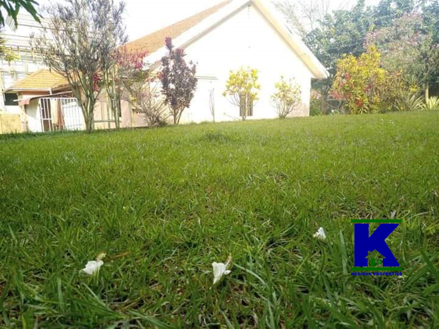 Bungalow for rent in Mutungo Kampala