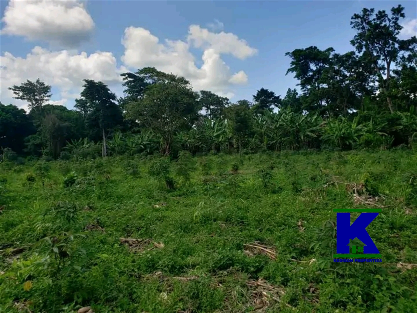 Residential Land for sale in Gobelo Mukono