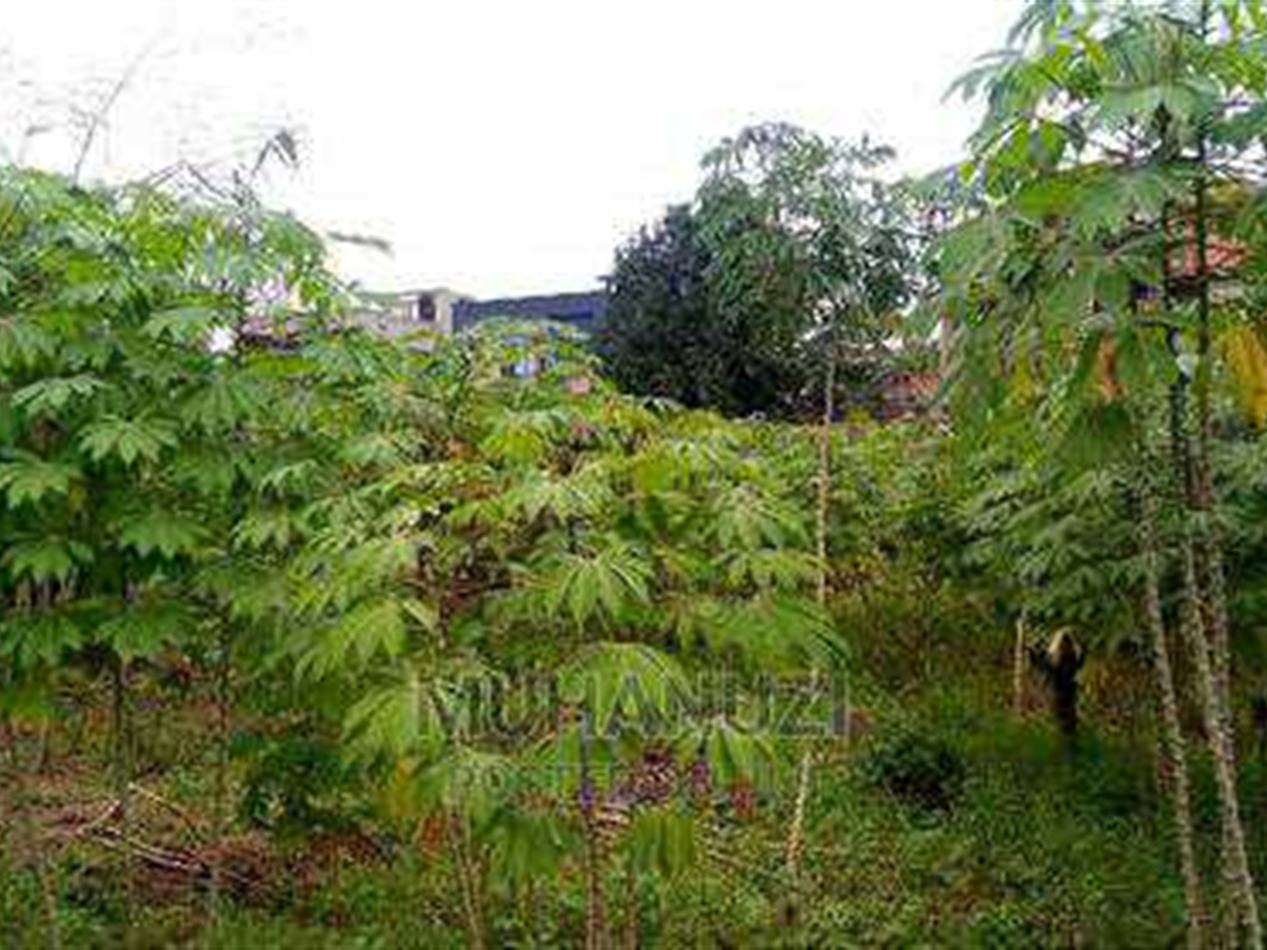 Residential Land for sale in Kyanja Kampala