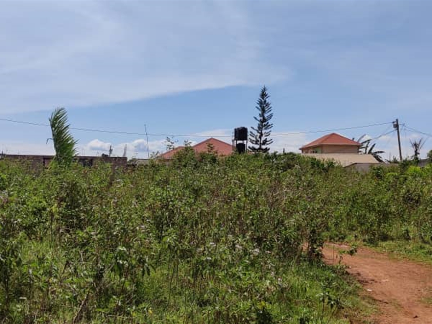 Farm for sale in Nakaseke Nakaseke