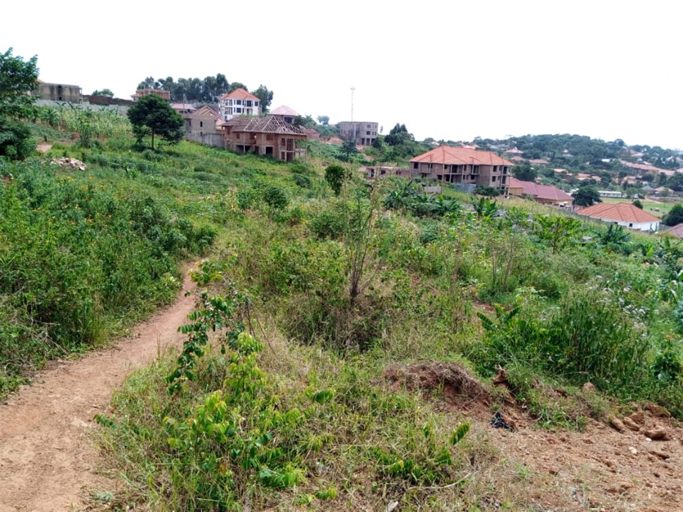 Residential Land for sale in Bwerenga Wakiso