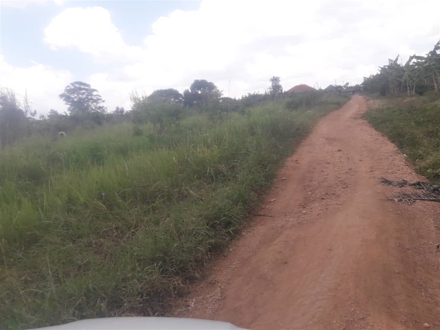 Farm for sale in Kayanda Luweero