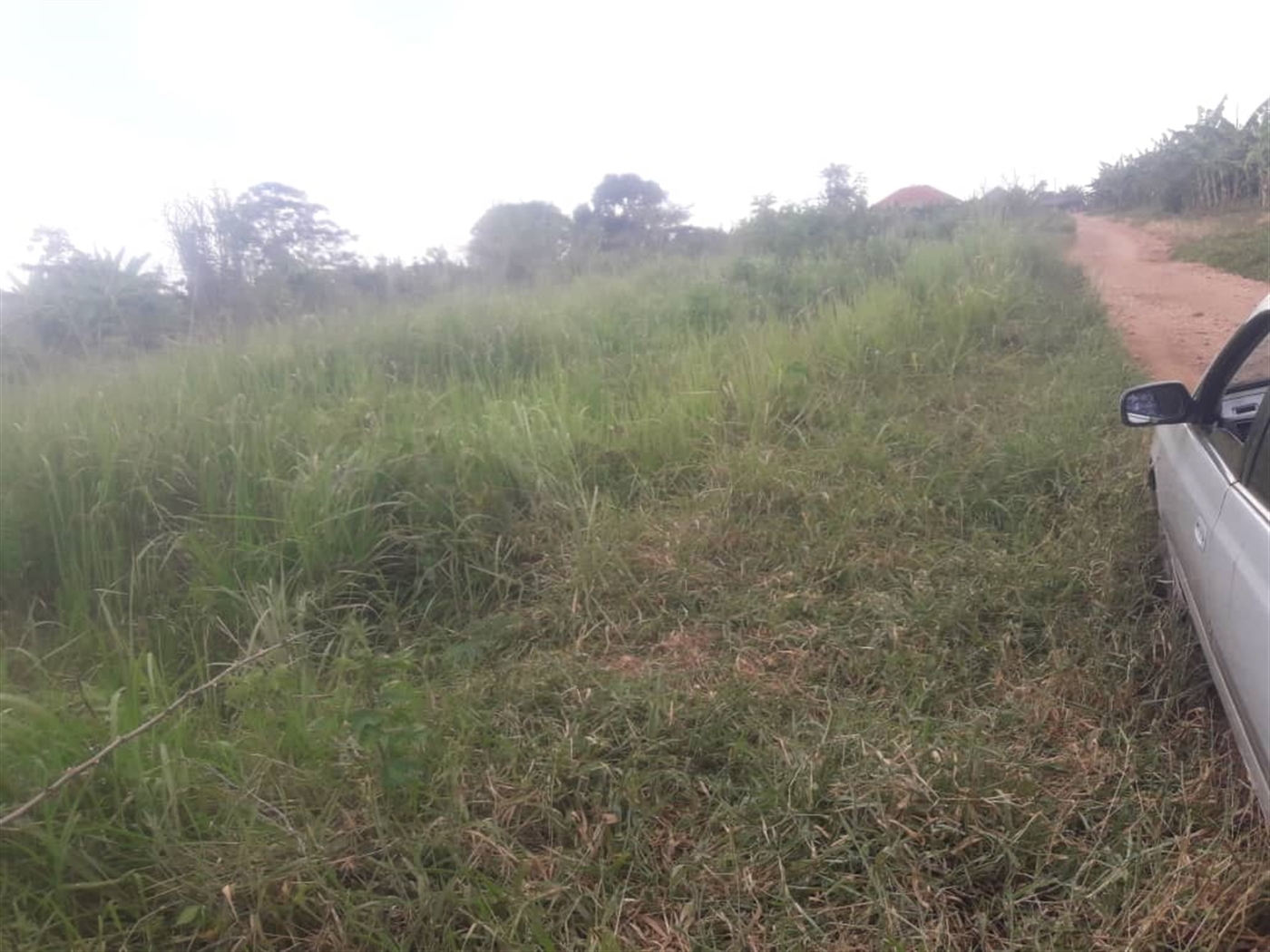 Farm for sale in Kayanda Luweero