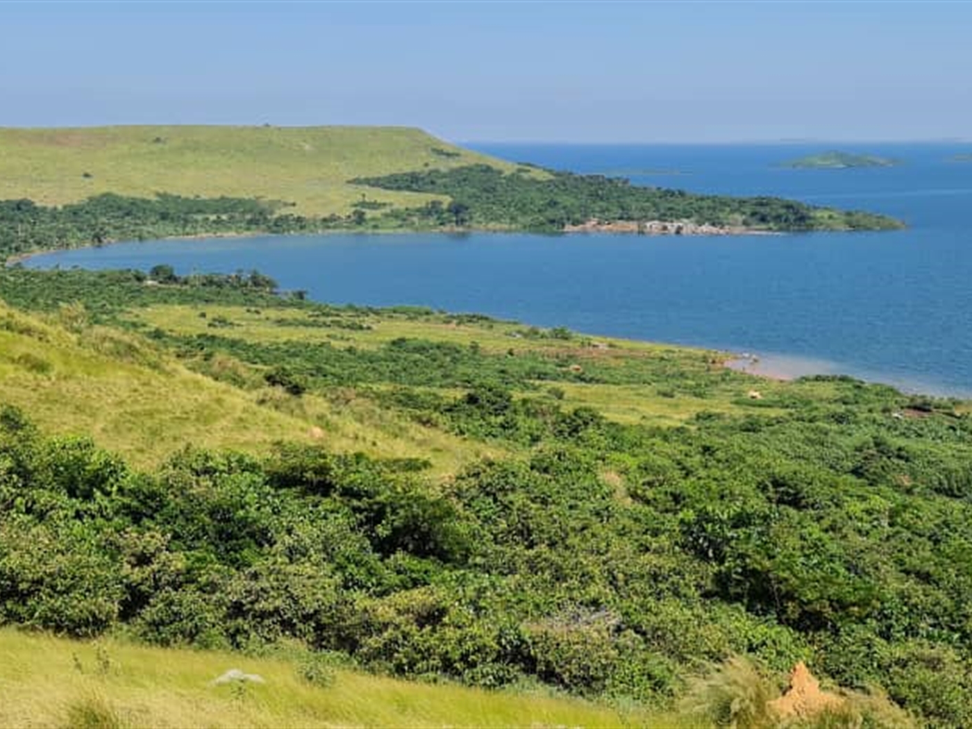 Multipurpose Land for sale in Ssenyi Mukono