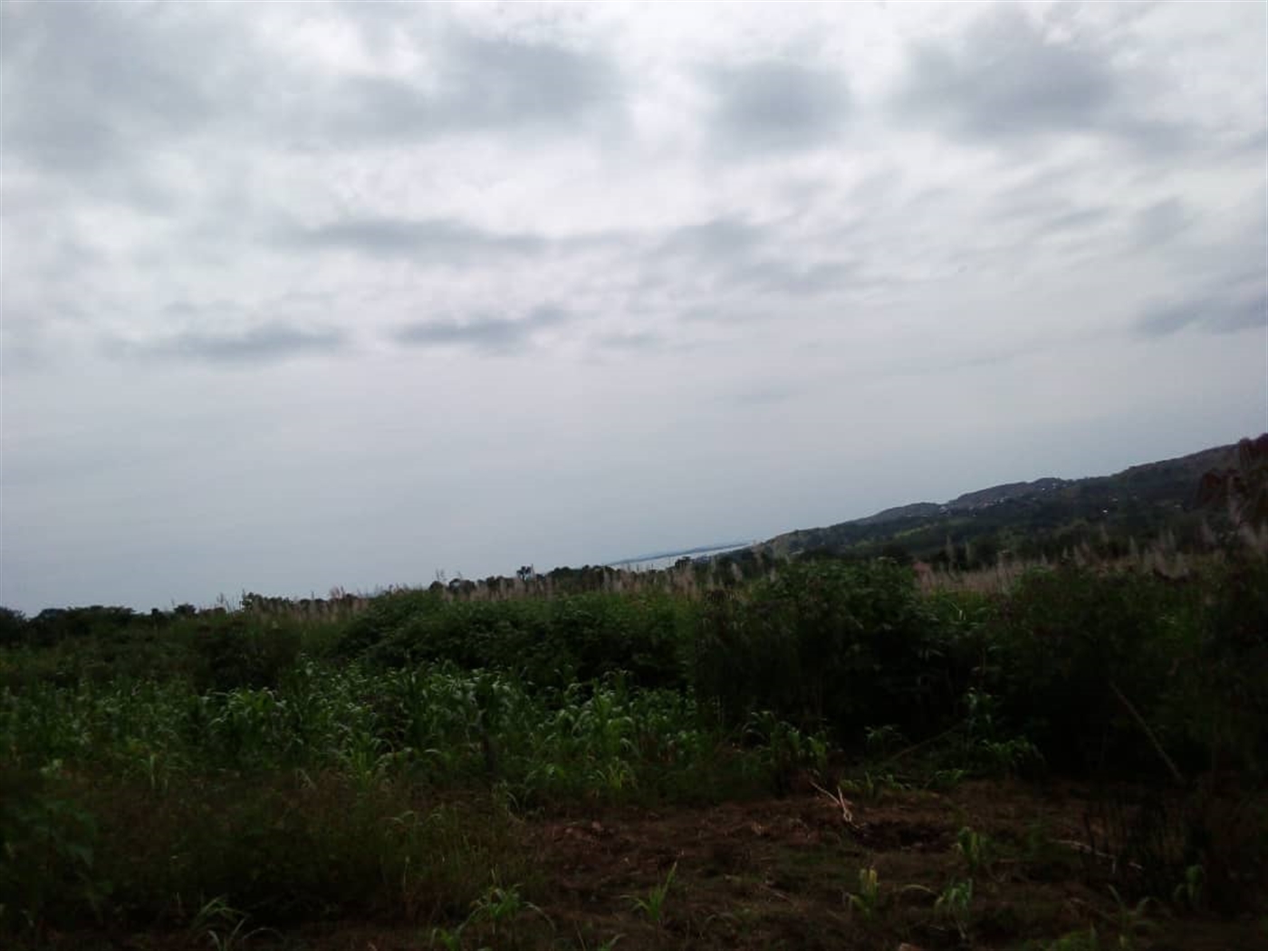 Multipurpose Land for sale in Najja Mukono
