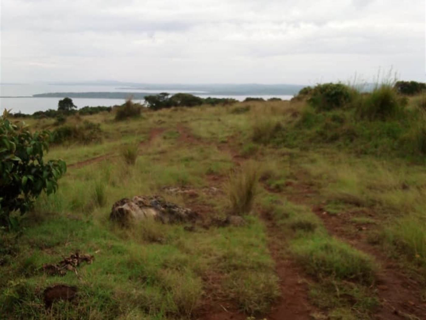 Multipurpose Land for sale in Buweera Mukono