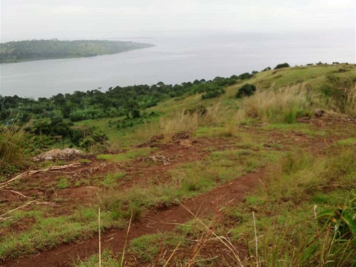 Multipurpose Land for sale in Buweera Mukono