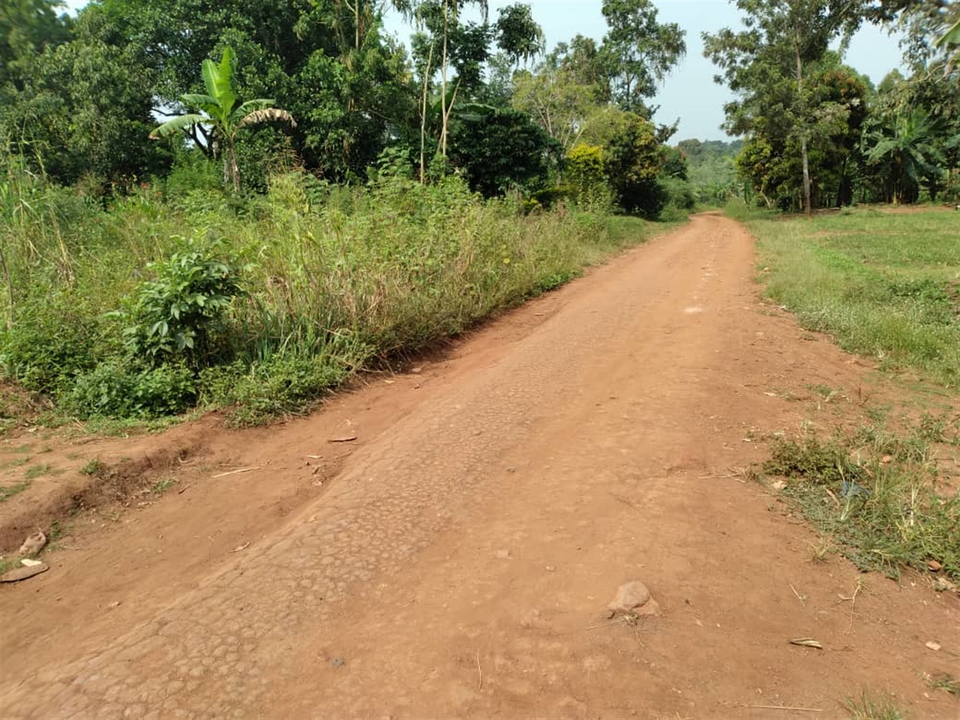 Multipurpose Land for sale in Bugema Luweero