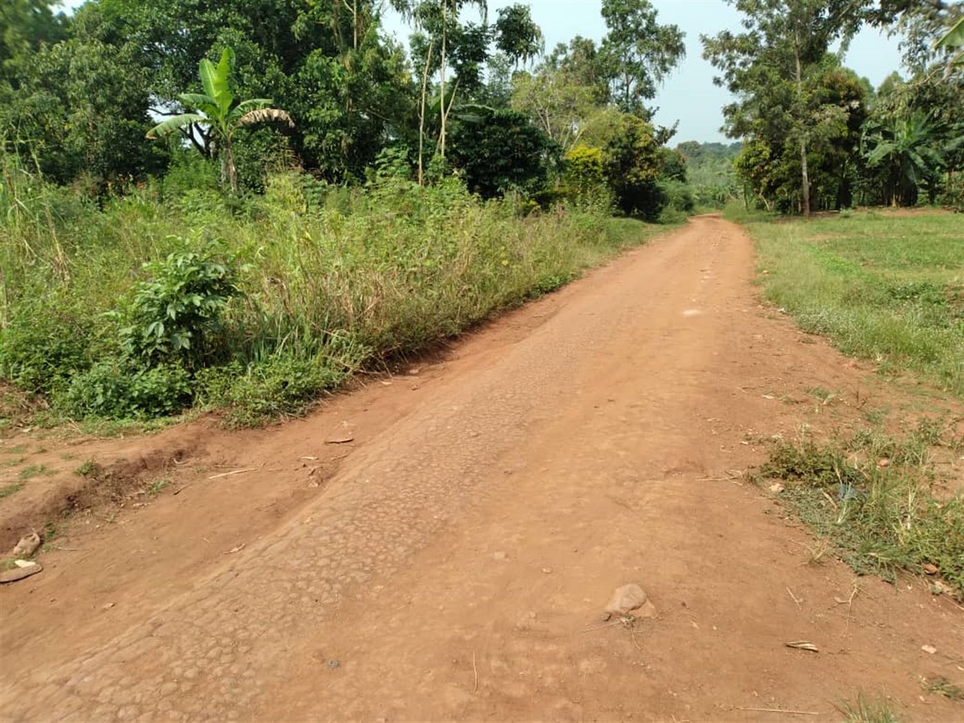 Multipurpose Land for sale in Bugema Luweero