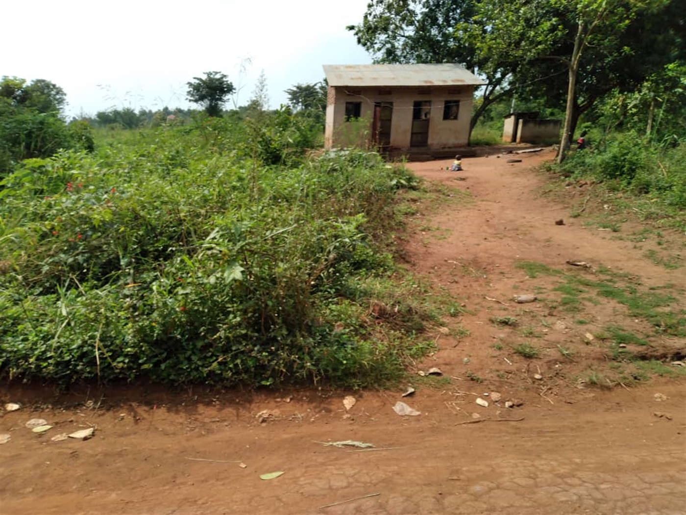 Multipurpose Land for sale in Bugema Luweero