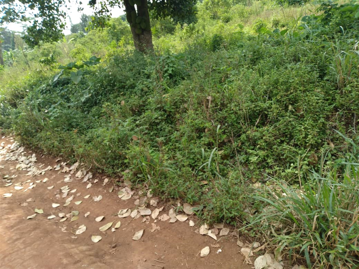 Multipurpose Land for sale in Bugema Luweero