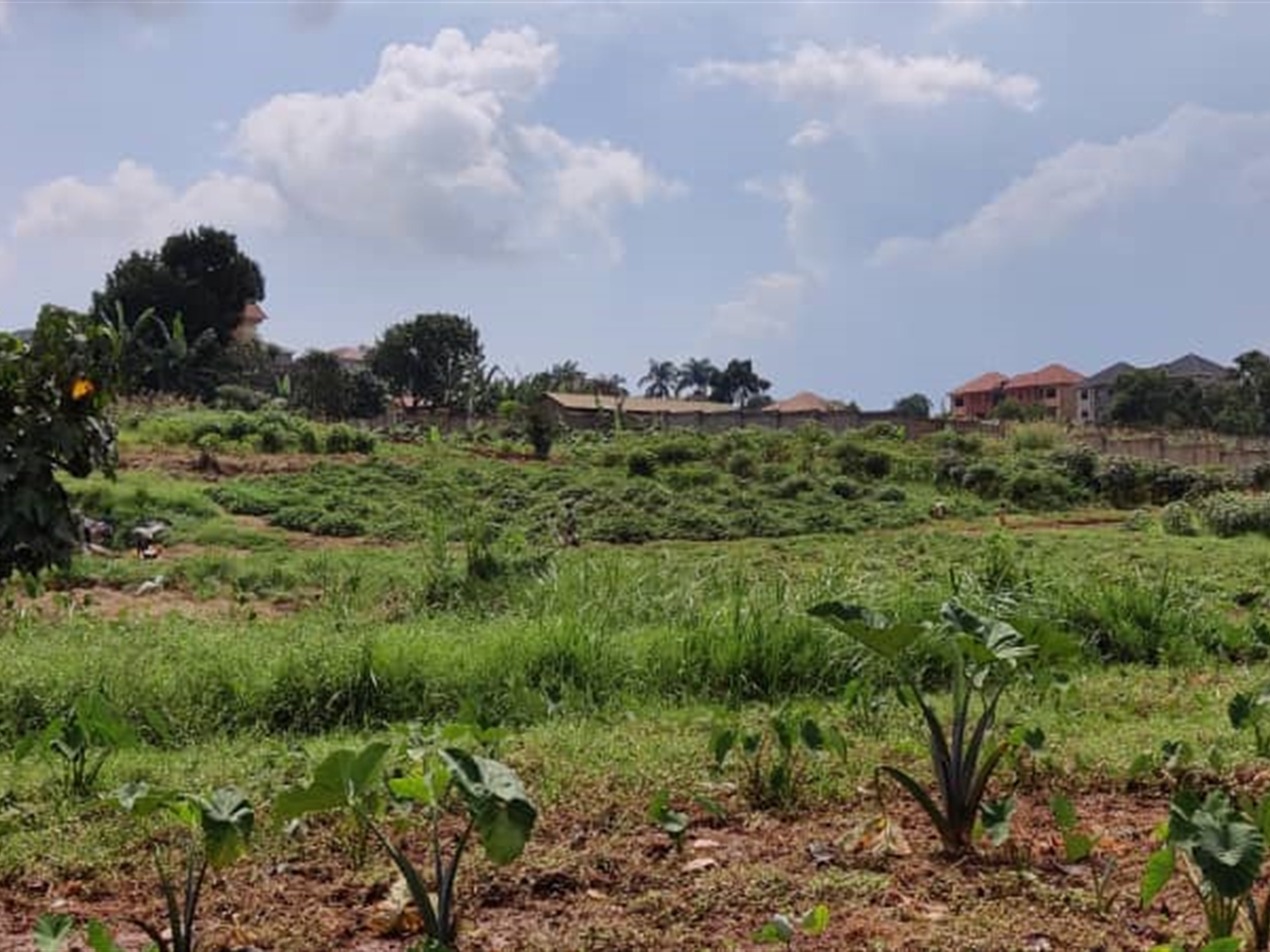 Multipurpose Land for sale in Lungujja Kampala