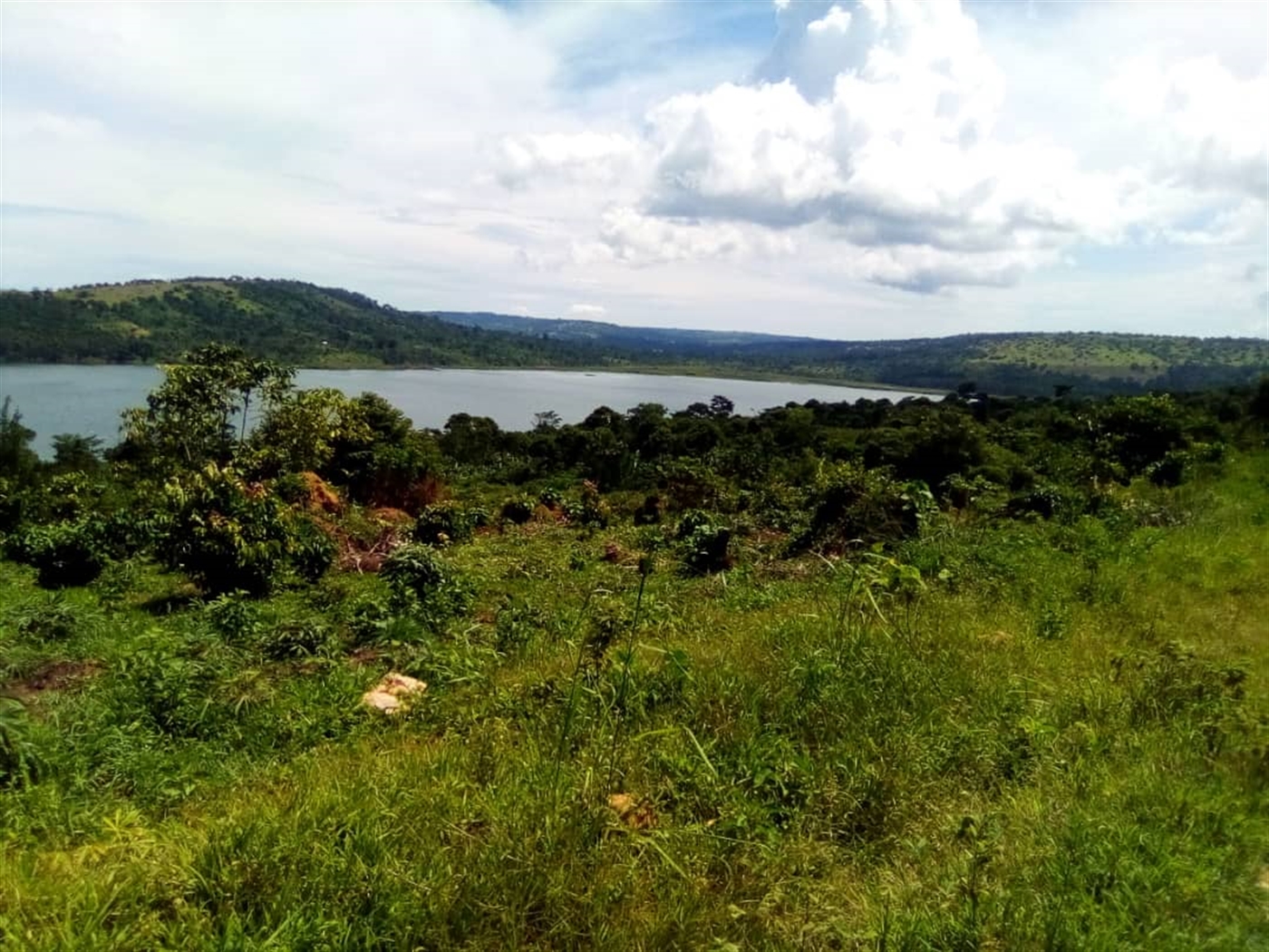 Multipurpose Land for sale in Ssi Buyikwe