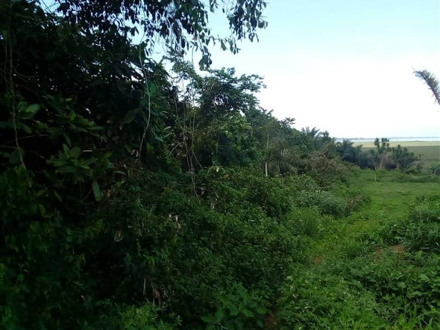 Multipurpose Land for sale in Ssisa Wakiso