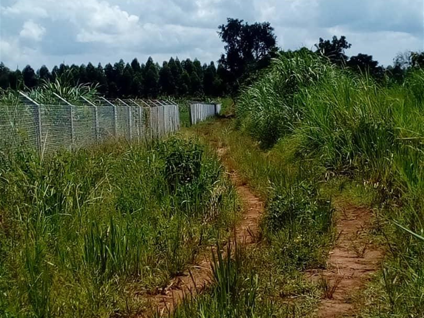 Multipurpose Land for sale in Ssisa Wakiso