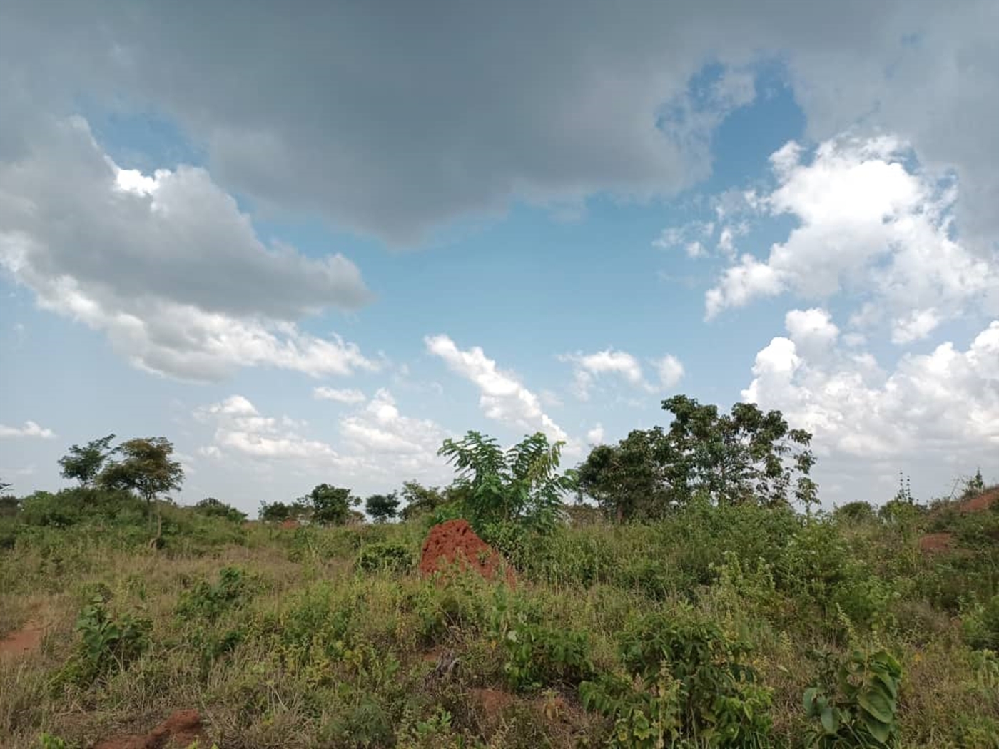 Multipurpose Land for sale in Kiykusa Luweero