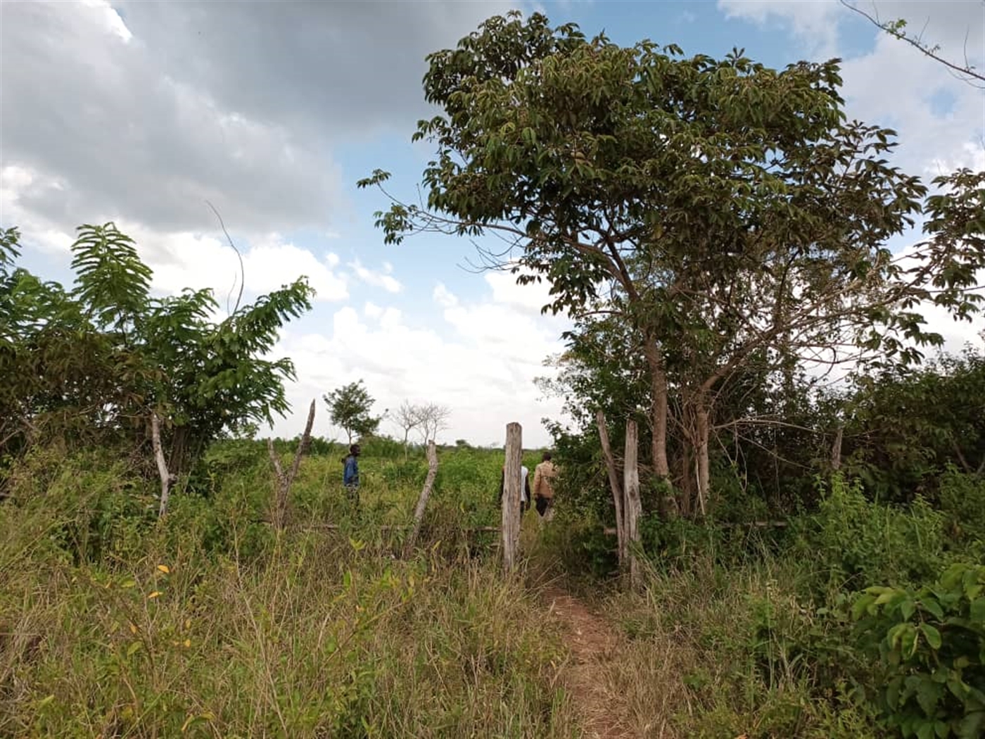 Multipurpose Land for sale in Kiykusa Luweero
