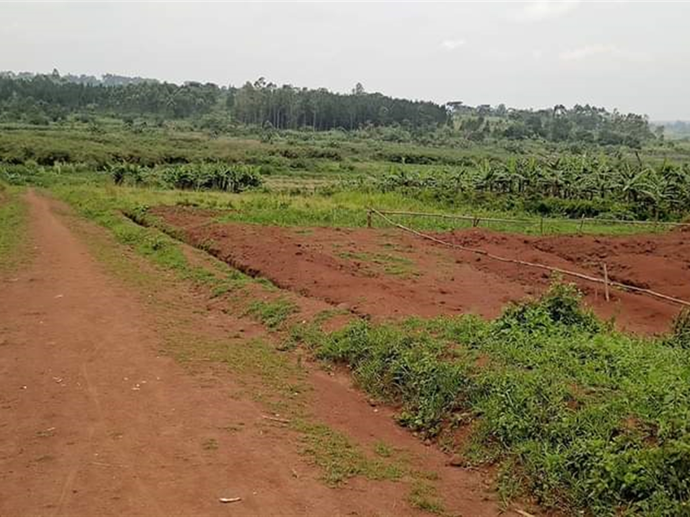 Residential Land for sale in Nakassajja Mukono