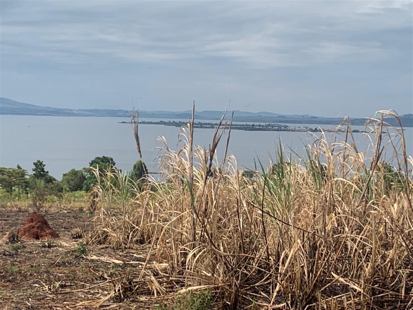 Multipurpose Land for sale in Nile Jinja