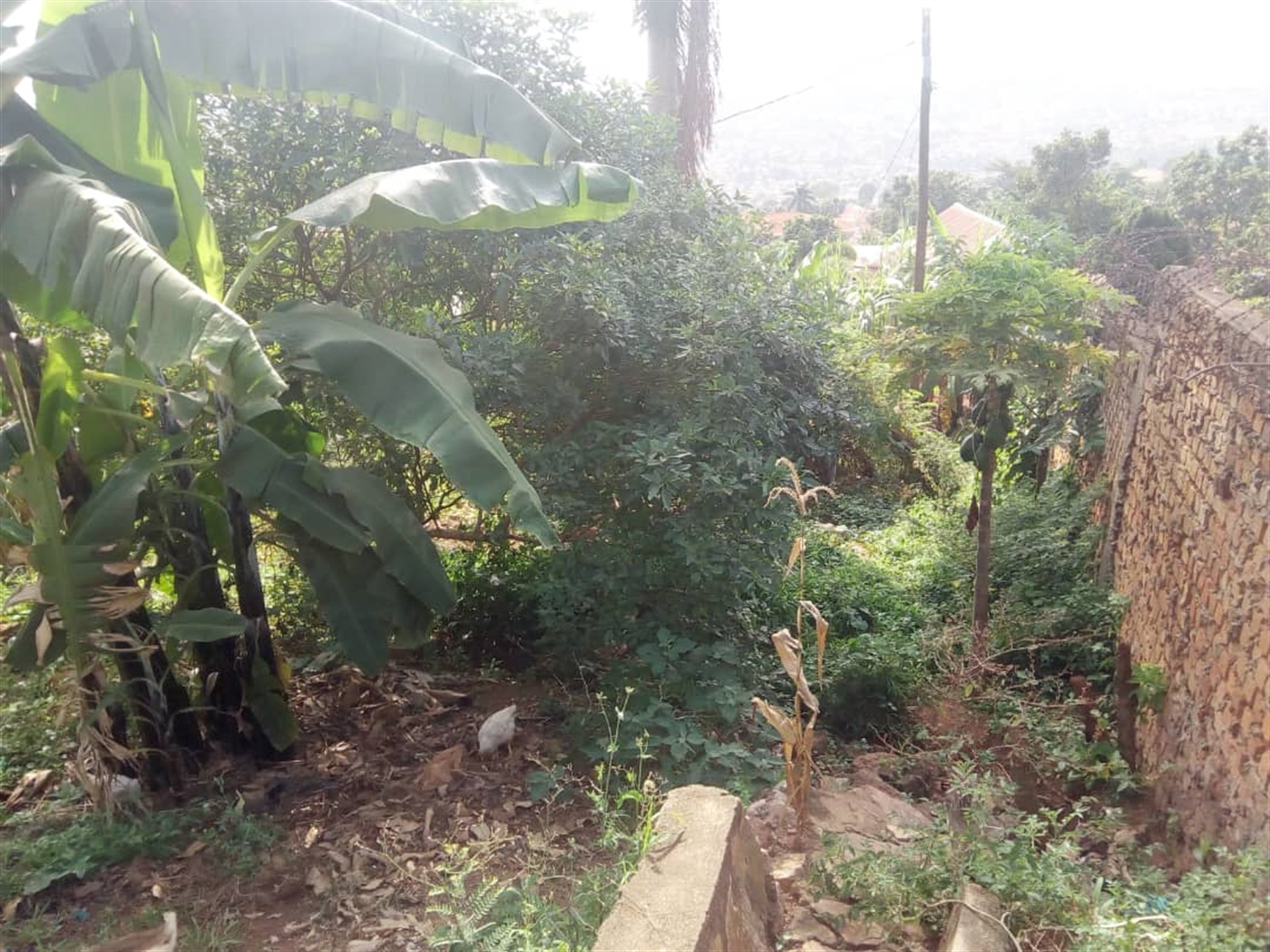 Multipurpose Land for sale in Makindye Kampala
