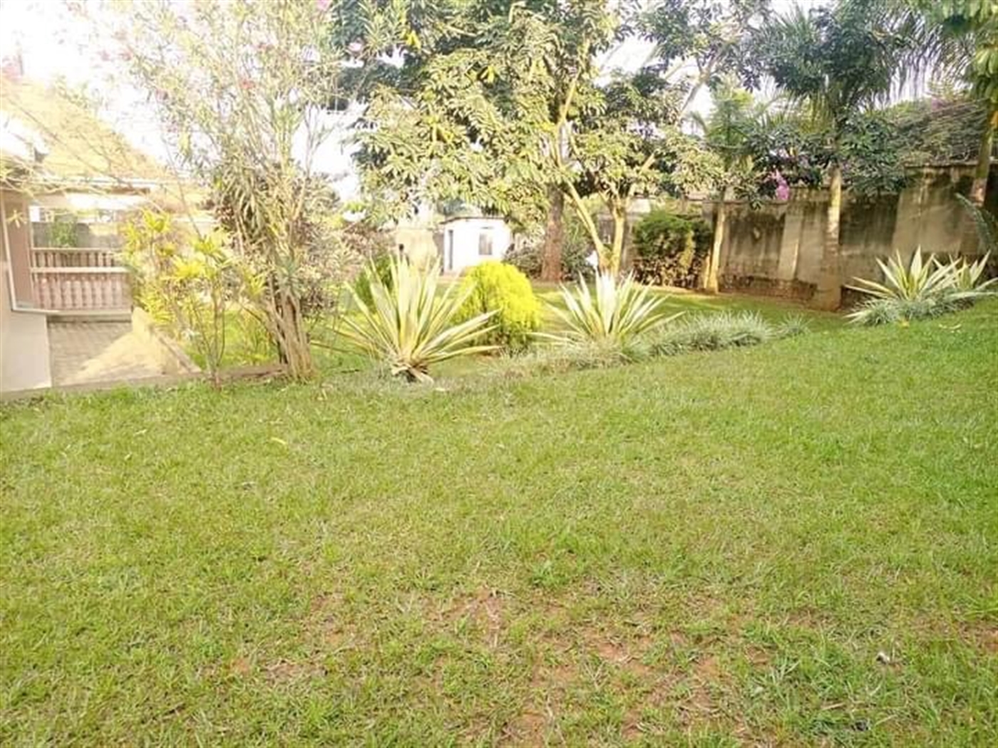 Bungalow for rent in Mutungo Kampala