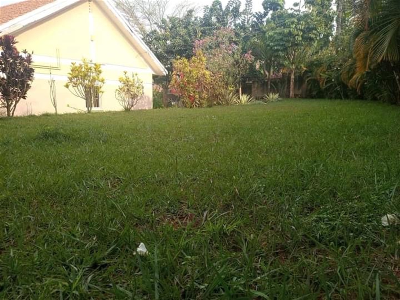 Bungalow for rent in Mutungo Kampala